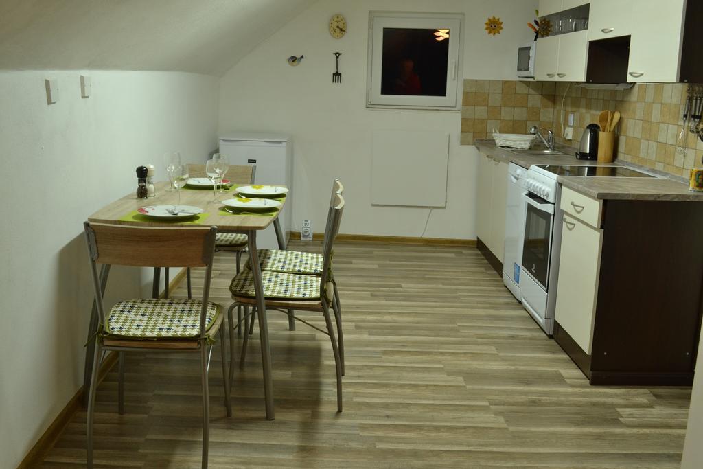 Apartman75 ティシュノフ 部屋 写真